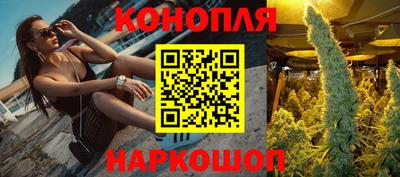 твердый Гусев