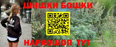 apvp Гусиноозёрск